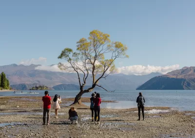 A solitary tree stands in Lake Wanaka, surrounded by a visibly wider exposed lakebed due to low water levels, with several people nearby and mountains in the background under a blue sky, as observed in Summer 2025.
