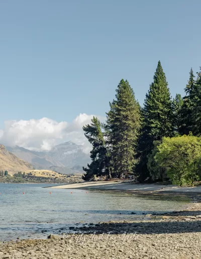 A view of the rocky and sandy shoreline of Lake Wanaka, with calm blue water, various green trees lining the shore, and hazy mountains in the distance under a blue sky with a few clouds.