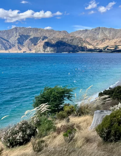Choppy turquoise waters of Lake Hāwea under a blue and white cloudy sky, with windy conditions affecting the tussock grass and shrubs on the foreground hillside and a sandy beach along the shore. Distant mountains are visible.