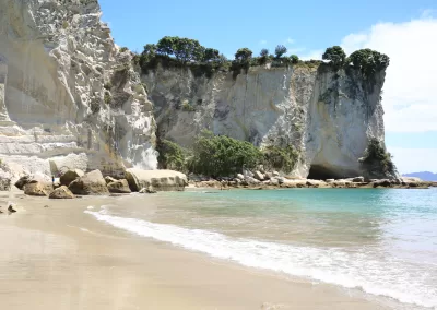 A sandy beach and clear turquoise water in Stingray Bay, with tall, white limestone cliffs rising behind it, topped with green vegetation, under a blue sky.