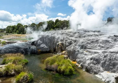 Panoramic view of Pohutu Geyser steaming at Te Puia in Rotorua, with white geothermal terraces and green pools.