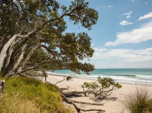 Waihi Beach weekend getaway Waihi Beach weekend getaway