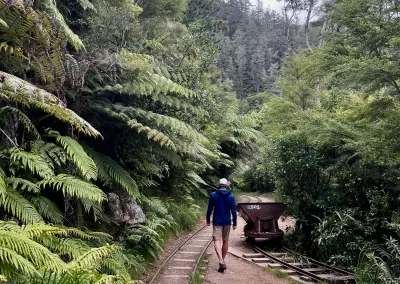 A person in a blue jacket and shorts walks along an old railway track through a dense green forest with tall ferns on the left. An old, rusty mining cart sits on a short section of track to the right.