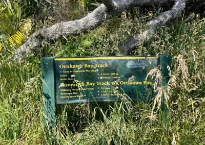 A green informational sign for the "Orokawa Bay Track" partially hidden by tall green and brown grass. The sign lists distances and times to various locations, including Orokawa Bay, and is surrounded by native New Zealand plants and tree roots.