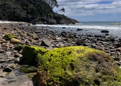 A wide view of a rocky and sandy beach with a large, bright green moss-covered boulder in the foreground. The shoreline is filled with various sizes of rocks and some sand, leading to the ocean where small waves are breaking. On the left, a steep, green, forested hillside rises from the beach, under a blue sky with white clouds.