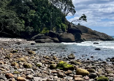 A wide view of a rocky and pebbly beach with some patches of sand. The foreground is dominated by various sizes of rounded rocks, some with green moss. On the right, the ocean gently laps the shore. On the left, a steep, dark green, forested hillside rises from the beach, with some distinctive trees growing on the rocky outcrop under a blue sky with white clouds.