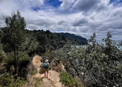 A person wearing a hat and a backpack walks down a winding dirt path with wooden steps, surrounded by dry grass and green bush. The path leads towards a view of a forested coastline meeting the turquoise ocean under a blue sky with dramatic white clouds.